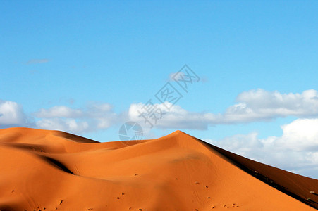 摩洛哥美容照片女孩电话摄影旅游狂假期旅行者旅游博主图片公羊背景图片