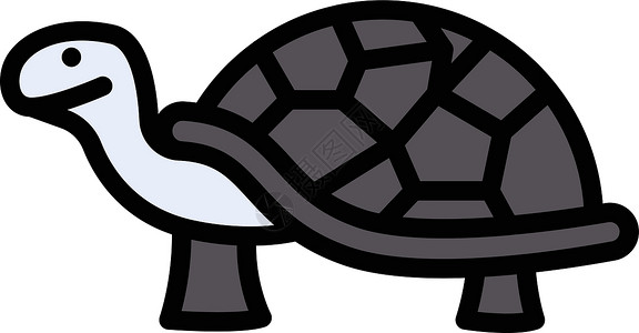 海龟荒野乌龟海洋网络爬虫标识插图黑色白色动物背景图片