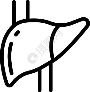 肝脏生物学标识插图手术外科白色黑色药品医疗解剖学背景图片