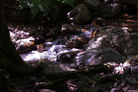 矿泉在河中紧贴石头背景
