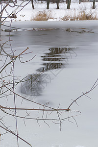 冬天结冰树早春在结冰的池塘或湖泊中解冻水背景