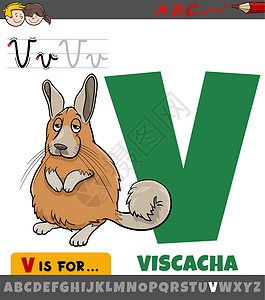动物内脏带有卡通 viscacha 动物特征的字母表中的字母 V设计图片