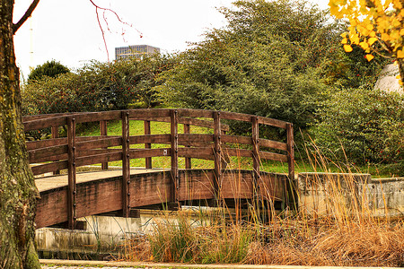 俄木塘花园的木环桥植物群小路木头绿化冥想木桥园艺途径草地植物背景