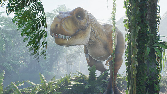 侏罗纪蕨类植物霸王龙恐龙在绿色的史前丛林中慢慢爬上它的猎物 在阳光明媚的早晨欣赏绿色的史前丛林 3D 渲染恐慌恐龙植物灭绝古生物学生态生物动物背景