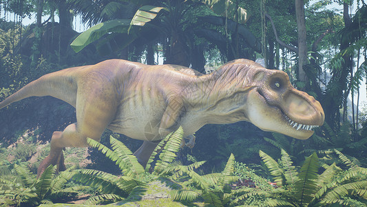 侏罗纪蕨类植物霸王龙恐龙在绿色的史前丛林中慢慢爬上它的猎物 在阳光明媚的早晨欣赏绿色的史前丛林 3D 渲染野生动物捕食者危险爬虫荒野动物情感食背景