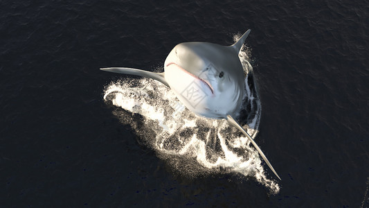 一只大鲨鱼从水中跳出 大口张开 满嘴尖利危险的牙齿 三维背景图片