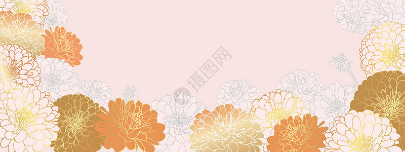 金色菊花奢华金色花卉壁纸设计与手绘菊花插画