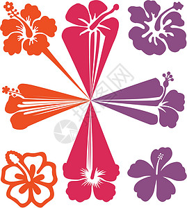 抽象花卉图打印创造力植物花瓣装饰品花店彩虹插图风格季节背景图片