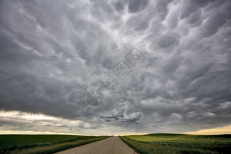 加拿大帕蕊雷风暴云风暴危险警告场景乡村农作物国家背景图片