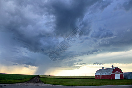 加拿大帕蕊雷风暴云风暴国家场景乡村警告农作物危险背景图片