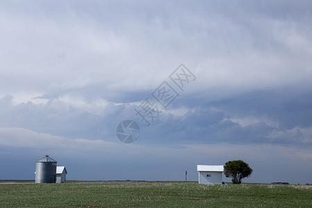 加拿大帕蕊雷风暴云风暴农作物警告乡村国家场景危险背景图片