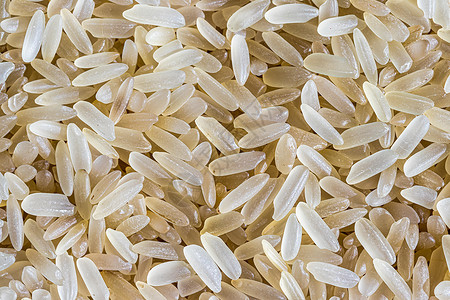 白米粒背景或质地 无麸质健康素食抛光种子农业营养食物白米植物谷物糖类背景图片