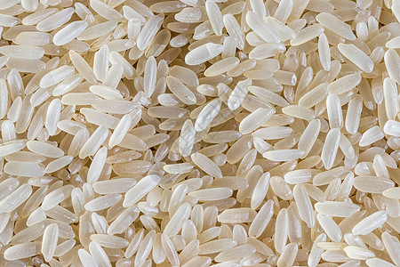 白米粒背景或质地 无麸质健康素食食物抛光营养农业植物种子白米谷物糖类背景图片