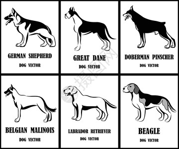 德国杜宾犬桌面各种狗的线条艺术矢量插图吉祥物宠物阴影猎犬犬类标识商业标签收藏哺乳动物插画