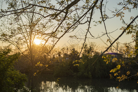 春季2日落时看到池塘日出高清图片素材