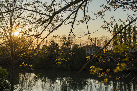 春天日落时看到池塘宁静高清图片素材