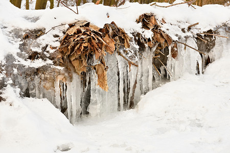 结冰的树结冰的小溪 大自然中美丽的冬季季节性背景背景