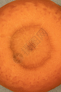 橙红胡萝卜背景图片