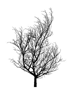 冬天树剪影简单速写素材高清图片