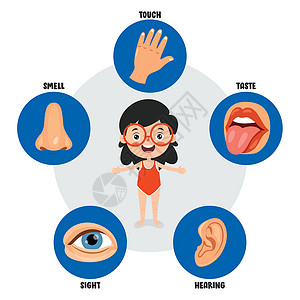 捂着耳朵的孩子五种感官概念与人体器官眼睛插图洞察力身体保健生理五感医疗孩子们鼻子插画
