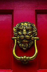 以狮子头形的黄铜敲门 漂亮的入屋入口 很美丽青铜木头橡木金子门铃古董历史圆圈门把手金属背景图片