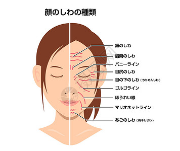 皮肤老皱纹脸和无皱纹脸女性脸矢量图日本设计图片