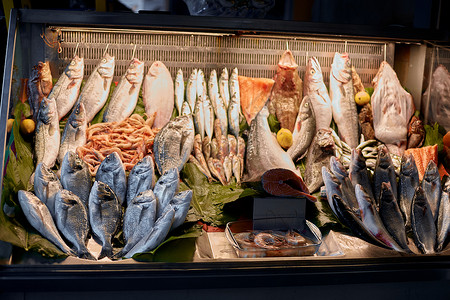 伊斯坦布尔海滨的街边小摊上放着新鲜的鱼 街边市场的新鲜海鲜鳟鱼展示零售盐水美食店铺美味产品团体饮食寒冷的高清图片素材
