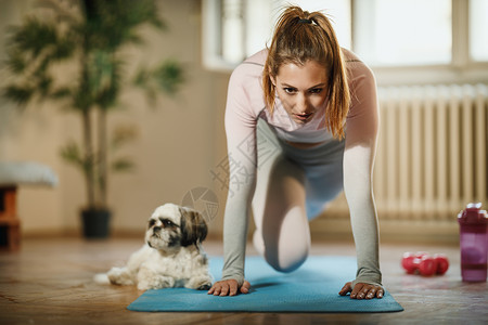 仅关注健身训练封锁社交小狗运动垫水平隔离运动宠物背景图片