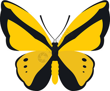 黄蝴蝶君主艺术翅膀生态昆虫装饰卡片动物风格绘画插画