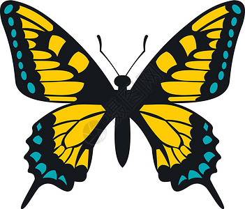 黄蝴蝶翅膀邀请函昆虫动物艺术风格卡片生态生物学热带插画