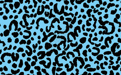 豹素材蓝色的覆盖高清图片