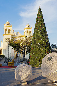 圣萨尔瓦多大教堂城市景观市中心高清图片