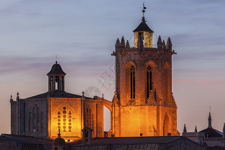 圣玛丽亚塔拉戈纳大教堂建筑灯光大教堂文化日落地标天际旅行蓝色景观背景