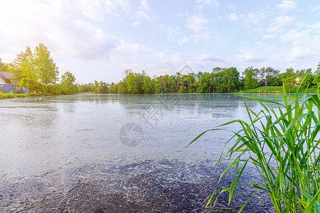 湖边的夏季景色日出 早上光照 湖面水中的反射 镜子湖 旅行 户外娱乐森林支撑风景太阳薄雾晴天旅游蓝色橙子地平线背景图片