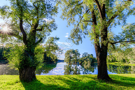 夏天的晚上在公园里有一个湖 夏季景观 俄罗斯的性质 维护良好的公园 晚上的光滑度 水中的倒影阳光季节湖水背景晴天天空池塘蓝色职业美丽的高清图片素材