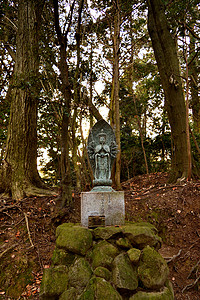 肖沙山森林上一座雕像的特写书社遗产宗教菩萨叶子佛教徒文化历史神道神社背景图片