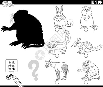 动物内脏卡通动物着色书页的阴影任务设计图片