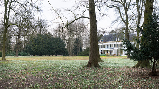 在阿米利斯韦尔德乌得勒支 荷兰古老的豪宅有清凉和充斥着雪铃的堡垒旅行树叶蓝色大厦季节灰色绿色草原白色野花背景图片