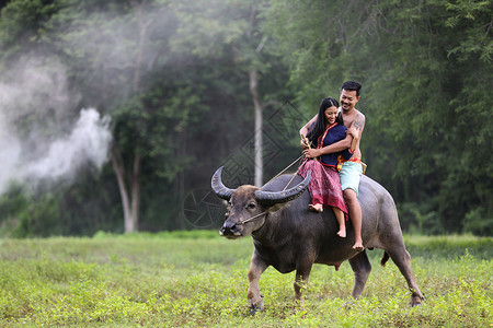 骑着牛牧童泰国田野上骑水牛的泰国农民家庭幸福时光 泰式旅行车生活农村女性乡村农业环境山地收获旅行背景