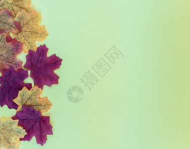 秋天落叶在地上的无缝图案 秋叶概念与副本 spac框架边界太阳森林橙子金子标本馆植物树叶卡片背景图片