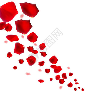 抽象的天然玫瑰花瓣背景 逼真向量它制作图案花朵庆典樱花飞行粉色婚礼白色邀请函红色卡片背景图片