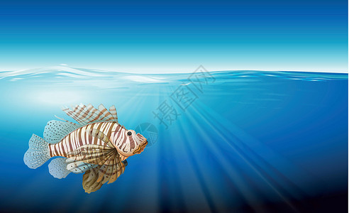 狮子鱼浮游二氧化碳池塘哺乳动物氧气海藻动物学水温耳朵浓度背景图片