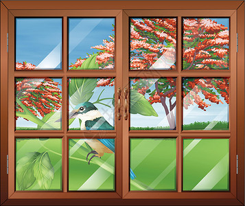 窗户上的鸟一扇特写的窗户 可以看到外面的鸟插画