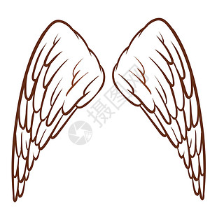 天使的翅膀艺术品白色素描前翅剪贴翅膀绘画草图艺术线条背景图片