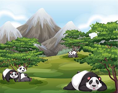 四川大熊猫栖息地大熊猫在森林里丛林异国毛皮卡通片睡眠风景丘陵绘画天空熊猫插画