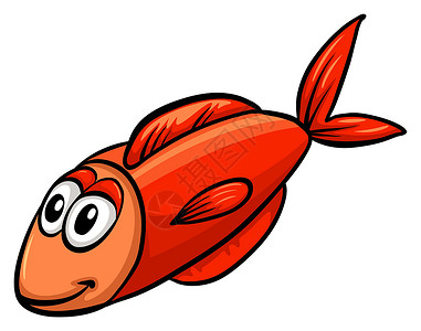 一只红鱼绘画养殖水产渔夫商业软骨轴承颅骨食物冷血高清图片