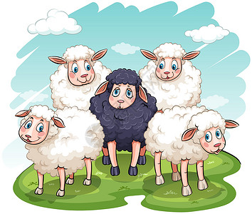 五羊黑色羊毛白色家畜农业动物偶数牛奶绵羊母羊背景图片