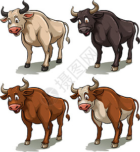 米奇米妮四牛荒野白色肌肉农业牛肉钻机哺乳动物野牛米奇动物插画