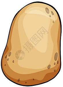 作物白色一个土豆营养农业绘画棕色淀粉化合物收成园艺白色马铃薯插画