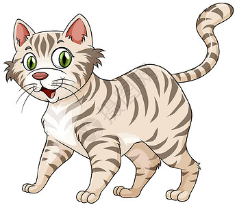 猫尾巴动物墙纸灰色尾巴宠物眼睛微笑哺乳动物卡通片白色胡须插画